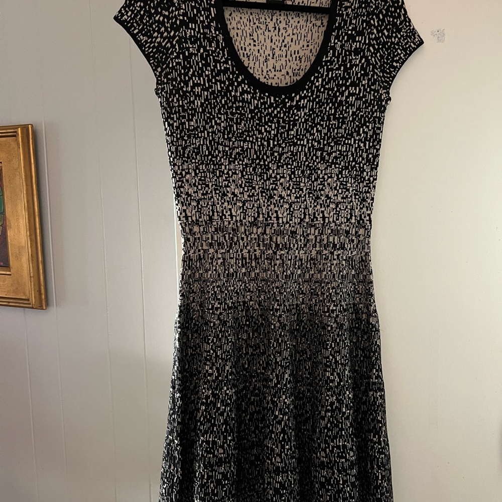 Elegant Black and Silver Women's Dress